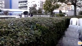 北航VPN出租房后入阿姨肥臀